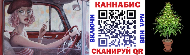 Конопля OG Kush  Красный Холм 